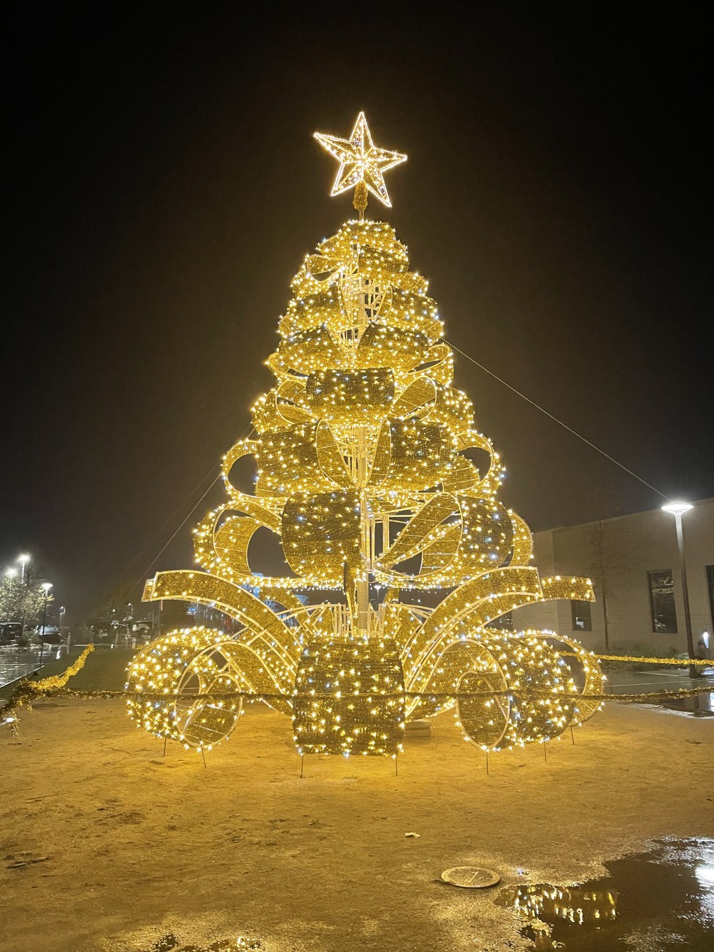 Bring Cheer to&nbsp;Others