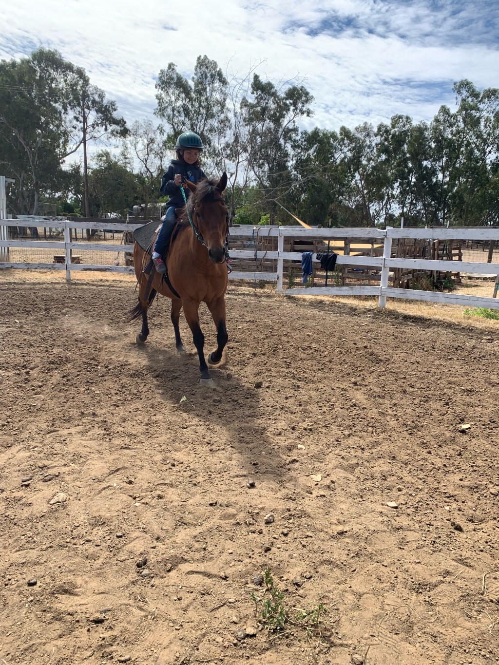 Sadie Grove Horse&nbsp;Camp