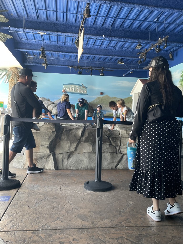 Lego Land Aquarium & Water Park Elk Grove Families