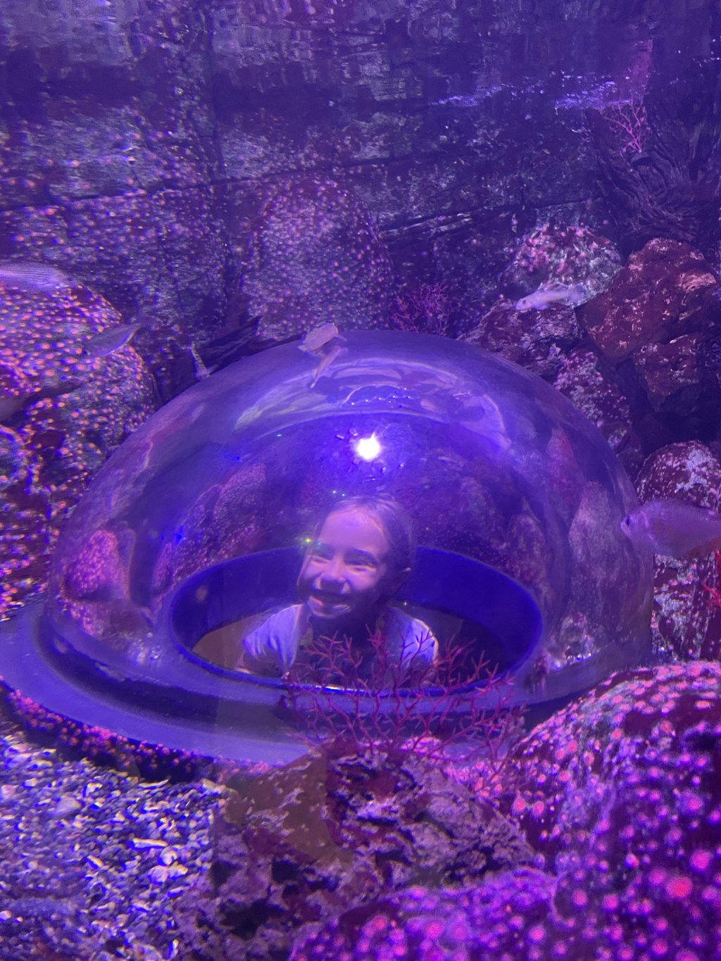 Lego Land Aquarium & Water&nbsp;Park