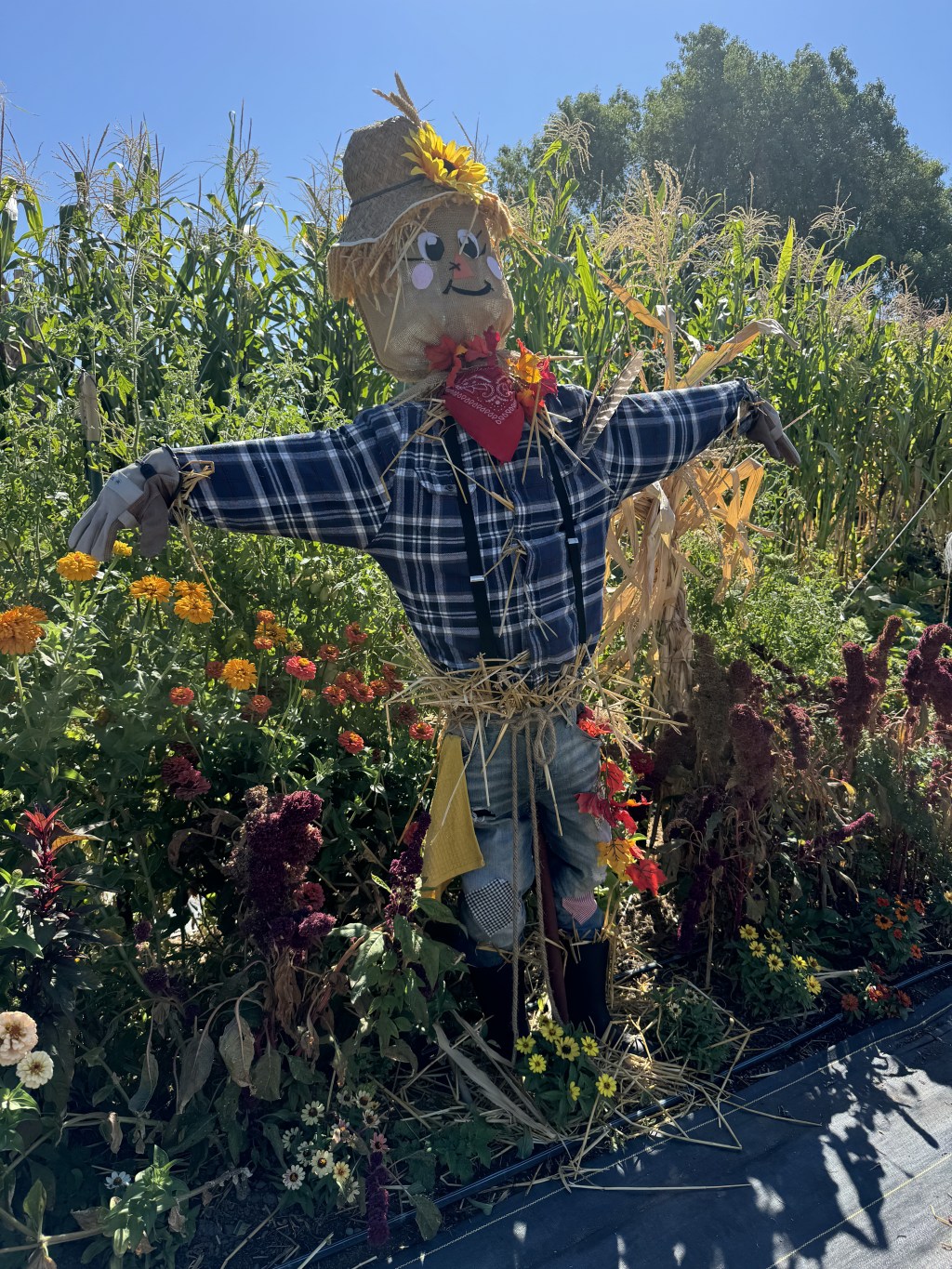 Elk Grove September&nbsp;Events